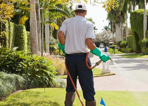 About Ovid MI Pest Control